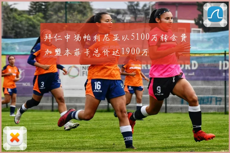 拜仁中场帕利尼亚以5100万转会费加盟本菲卡总价达1900万