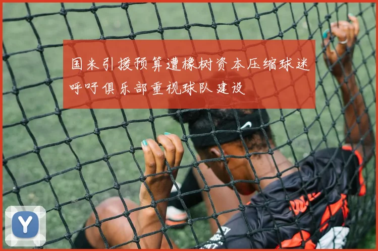 国米引援预算遭橡树资本压缩球迷呼吁俱乐部重视球队建设